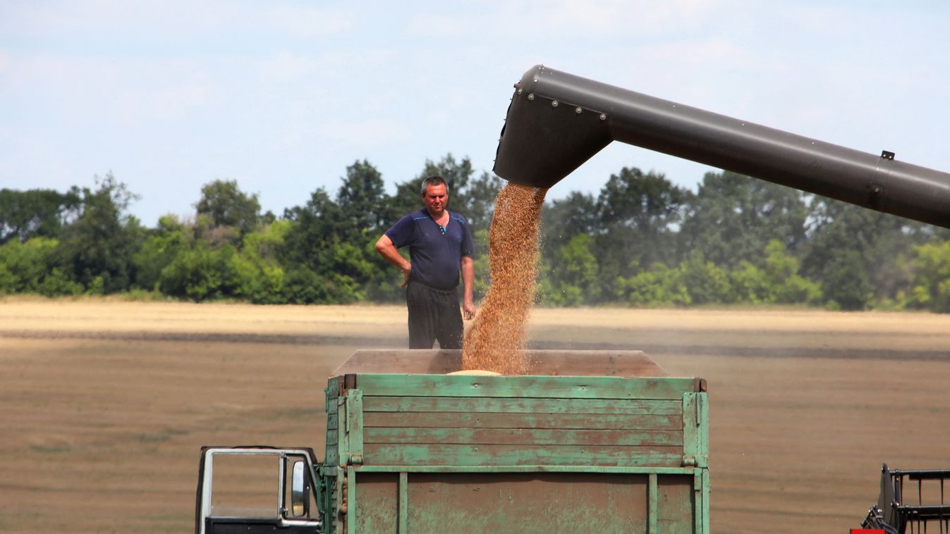 Grain harvest in Kharkiv Region