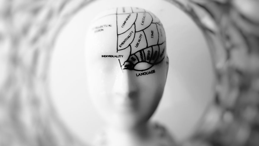 Fontos felfedezést tettek magyar kutatók az agy fejlődésével kapcsolatban