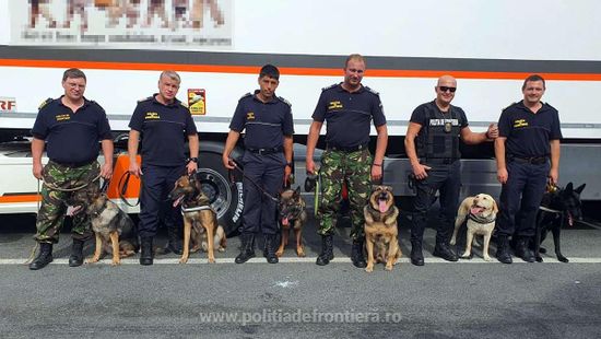 Kutyákat is bevet a román határrendészet az illegális migránsok ellen