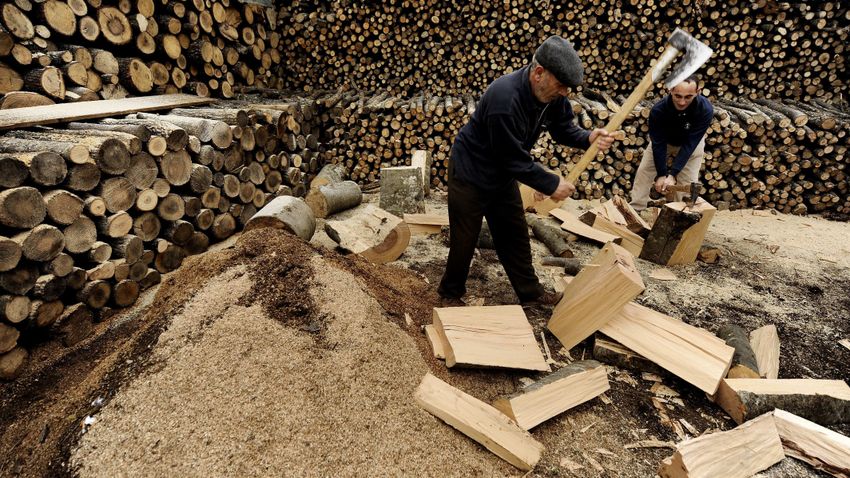 Több ezer hektár erdő tűnhet el Szerbiában