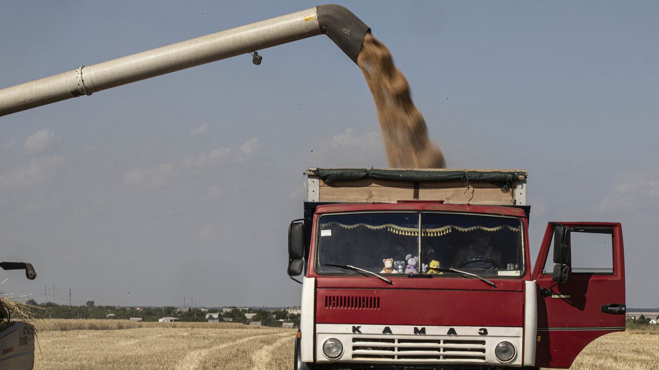 Grain harvest in Odessa