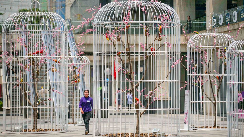 A woman walks past an installation of giant bird cages installations on a square in Nanjing