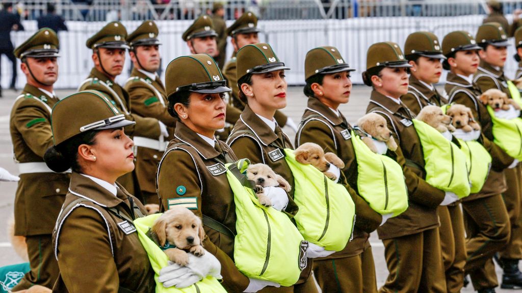 Chilean police officers march with puppies during the annual military parade in Santiago