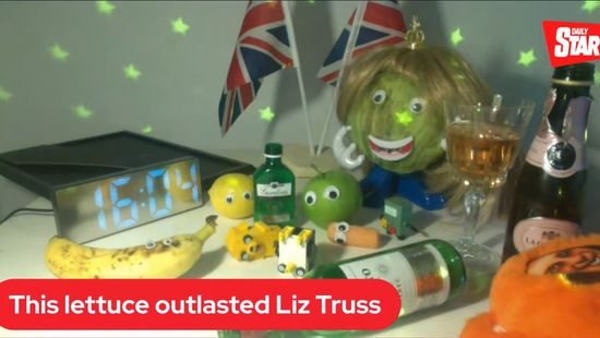 A fejes saláta tovább bírta, mint Liz Truss