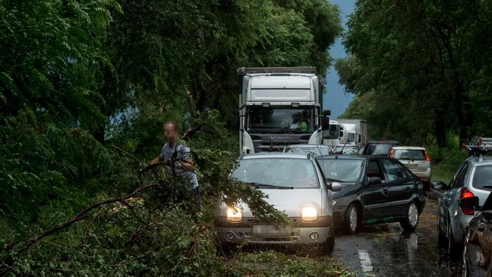 Vihar  Útra dõlt fák és letört ágak Bócsa határában