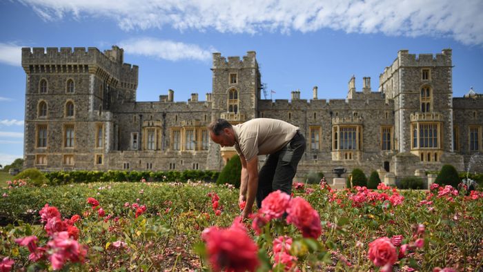 Windsori kastély