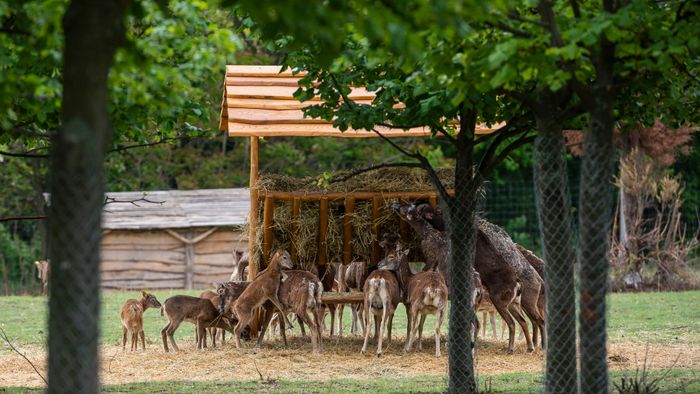 Átadták a kibõvített sukorói vadasparkot