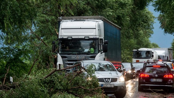 Vihar  Útra dõlt fák és letört ágak Bócsa határában