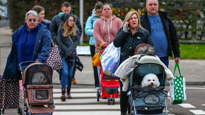 Owners arrive with Bichon Frises for the first day of the Crufts Dog Show in Birmingham