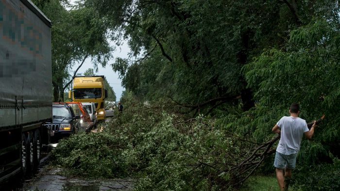 Vihar - Útra dõlt fák és letört ágak Bócsa határában