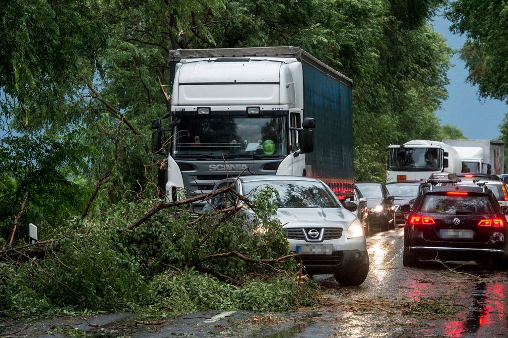 Vihar  Útra dõlt fák és letört ágak Bócsa határában