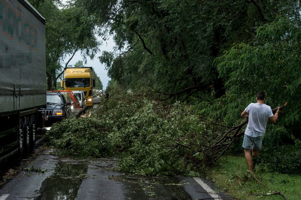 Vihar - Útra dõlt fák és letört ágak Bócsa határában