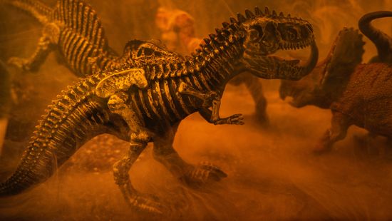 Tyrannosaurus rex-koponyát árvereznek el