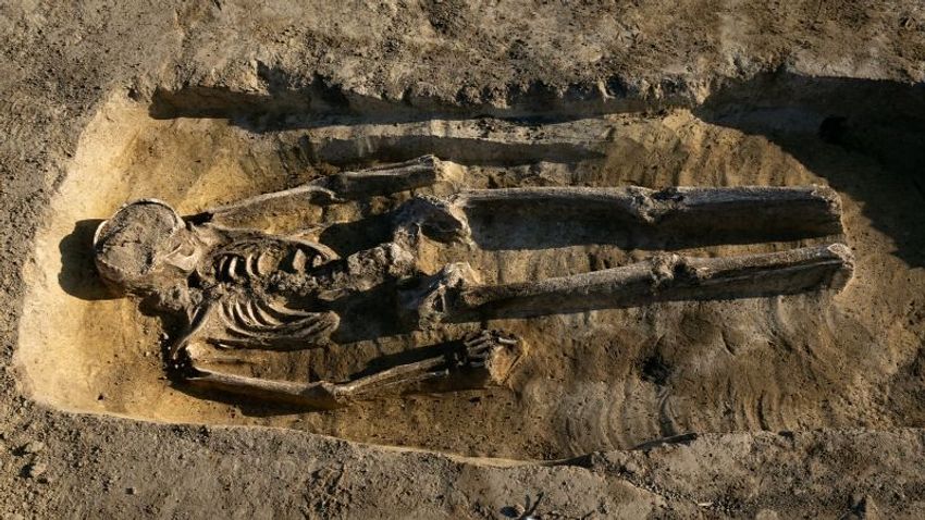Földönkívüli-szerű koponyát találtak Magyarországon