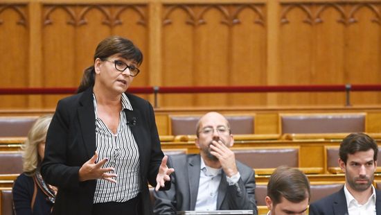 A rezsiért aggódik a DK-s Kálmán Olga
