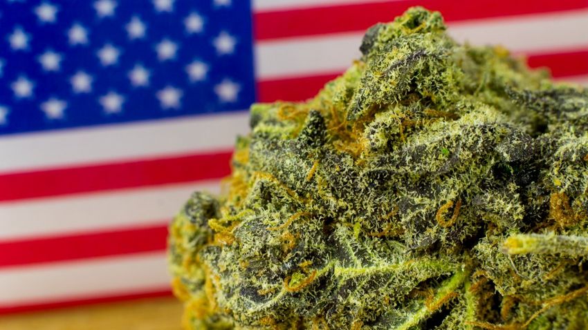 Több államban elutasították a marihuána legalizálását