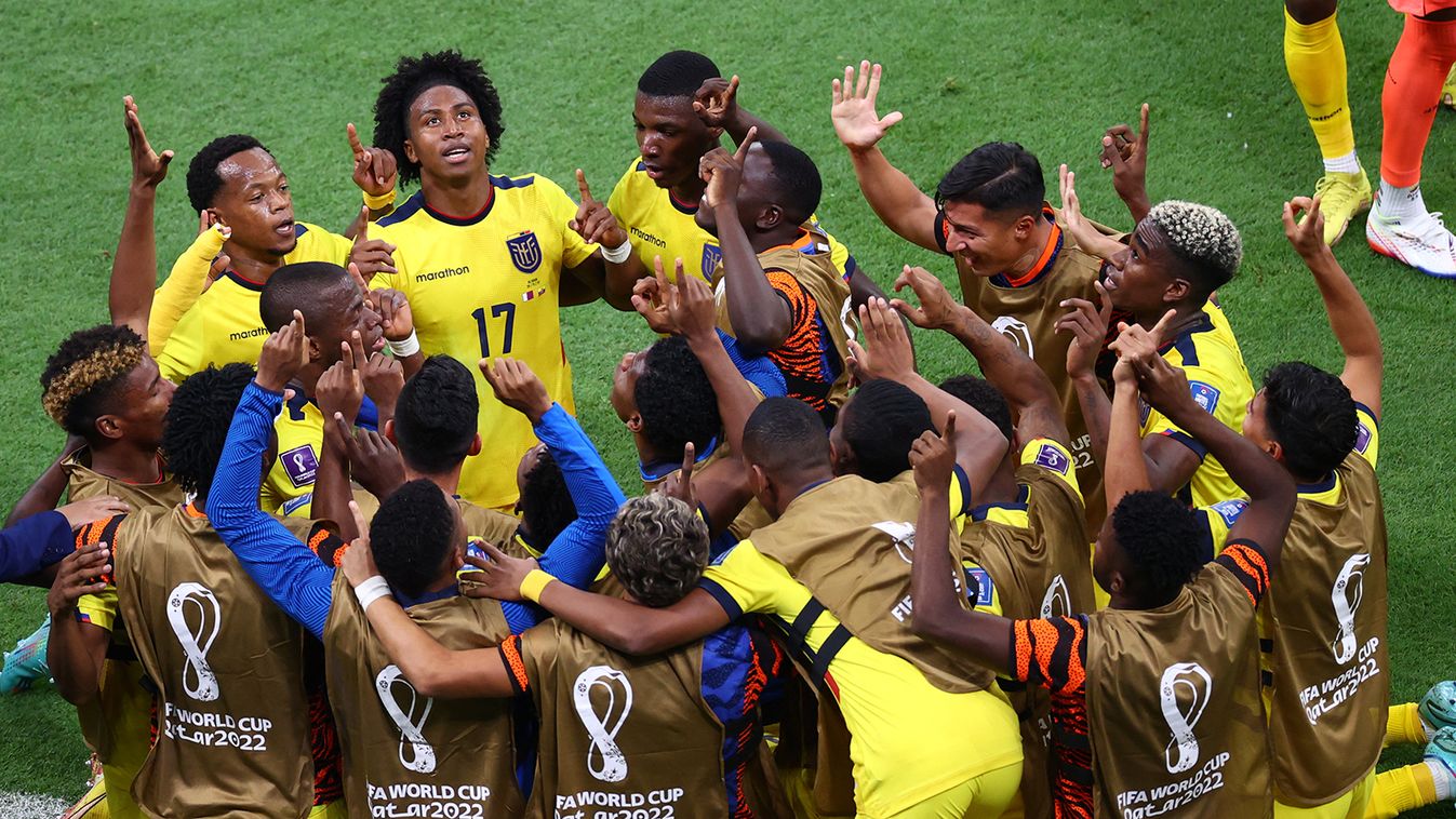 Qatar v Ecuador: FIFA World Cup 2022