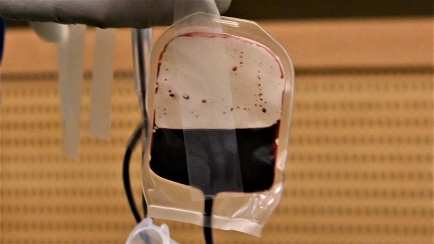 Először kaptak élő emberek mesterséges vért