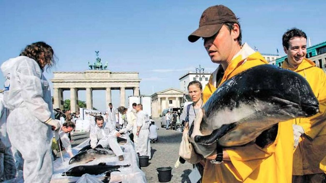 Aktivisták tizenhét bálna tetemét helyezik el a berlini Brandenburgi kapu mellett 2007 májusában Fotó: Reuters/Tobias Schwarz