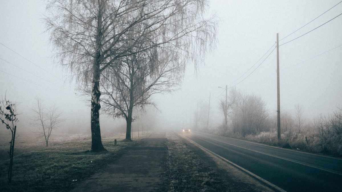 Сильного ветра тумана. Дорога в тумане. Штормовое предупреждение туман. Ветер туман. Сильный туман.