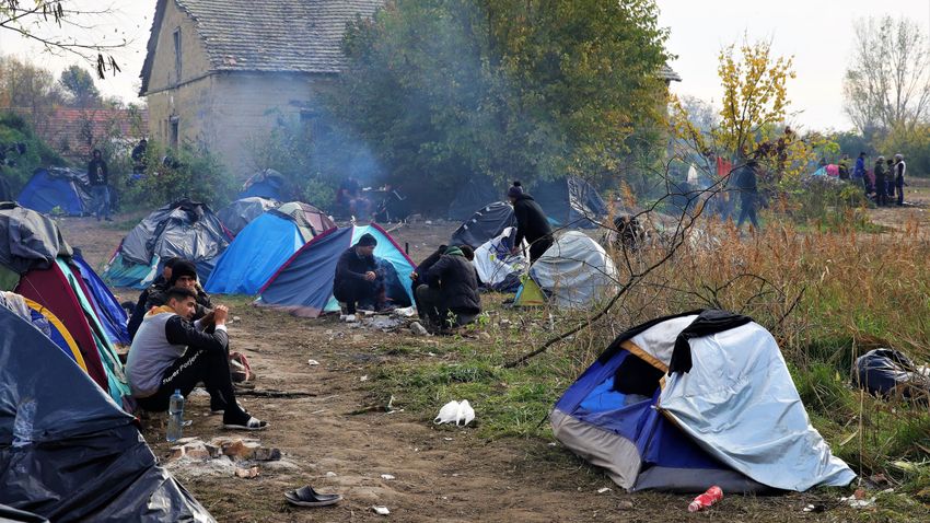 Állandósult a migrációs nyomás a szerb–magyar határon