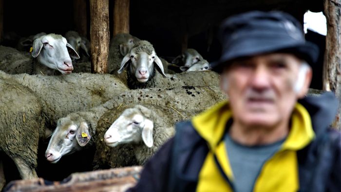 Juhászélet fegyverropogás közben