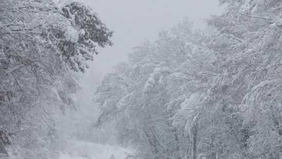 Közlekedési fennakadásokat okozott a hóesés a szomszédos országokban