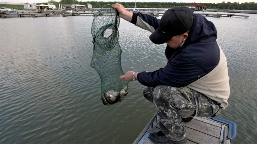 Horgászok is vizsgálják a hazai vizeket
