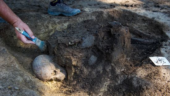 Szarmata település maradványait fedezték fel Kishegyesen