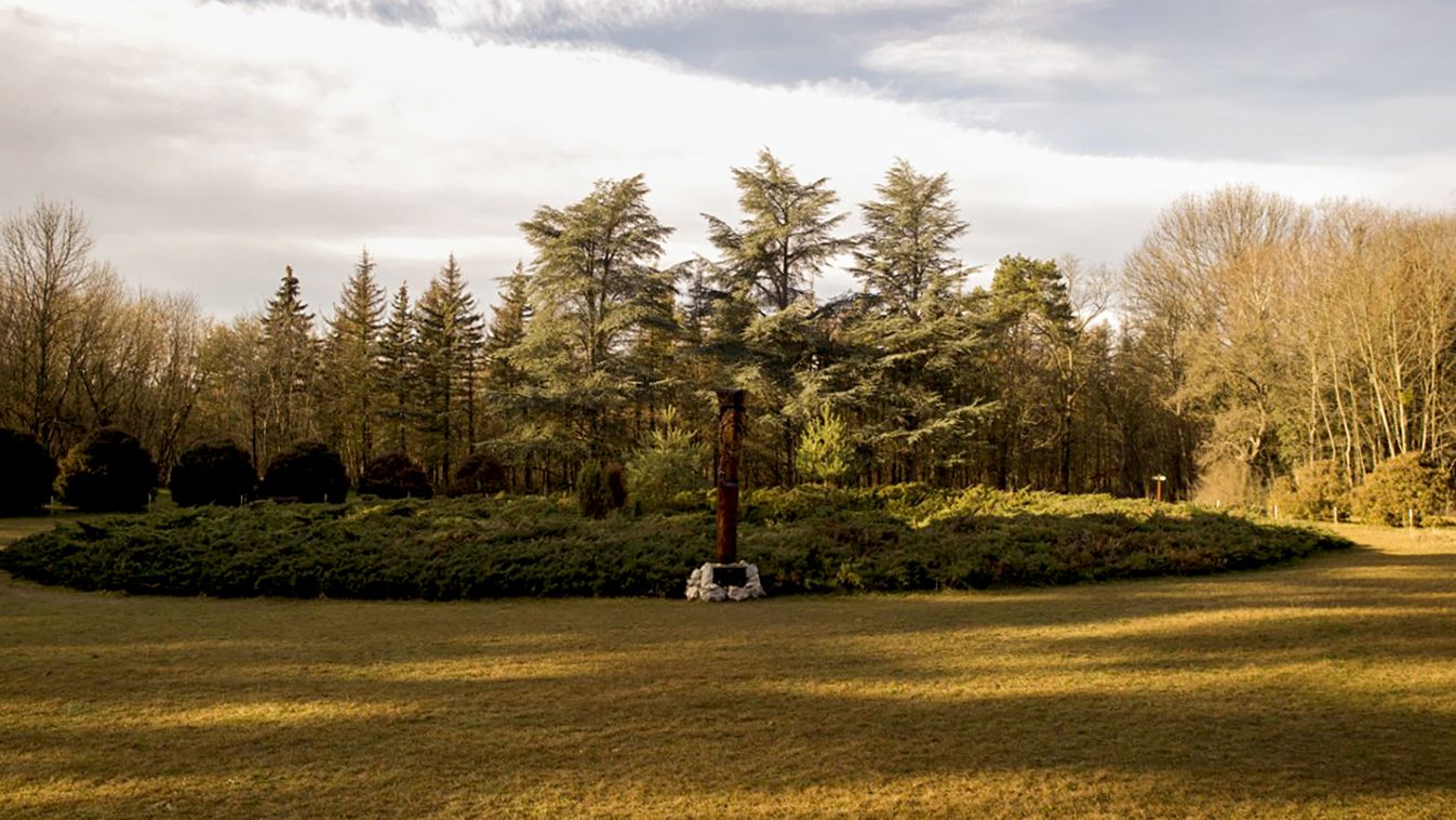 Ezerarcú erdő várja a látogatókat a Gödöllői Arbo-parkban