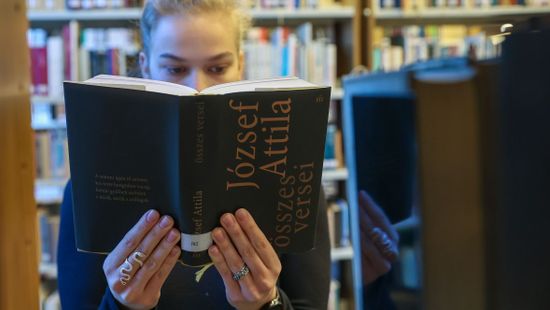 Verset, prózát, tanulmányt várnak