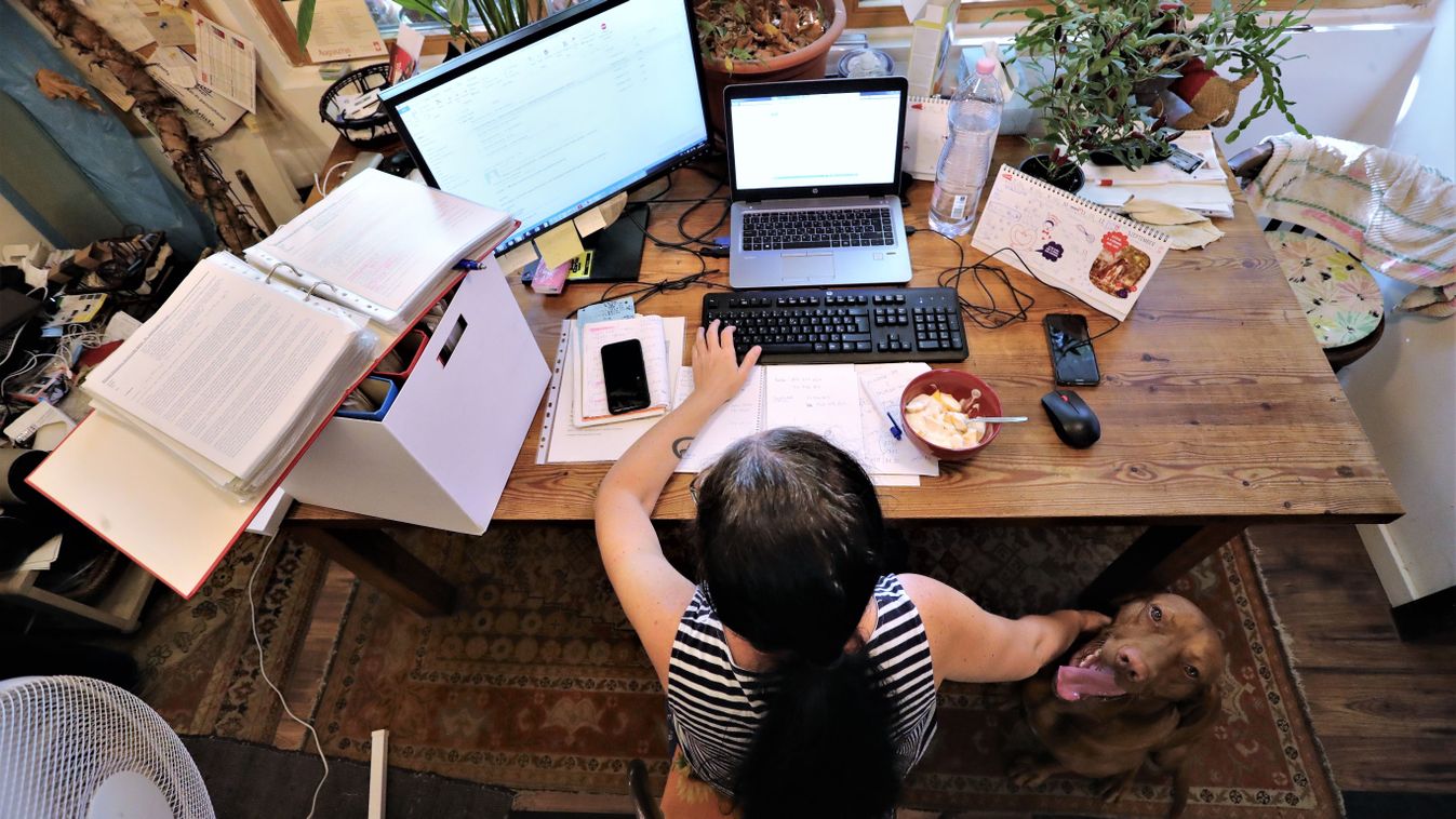 A home office helyett a hibrid munkavégzésé a jövő?