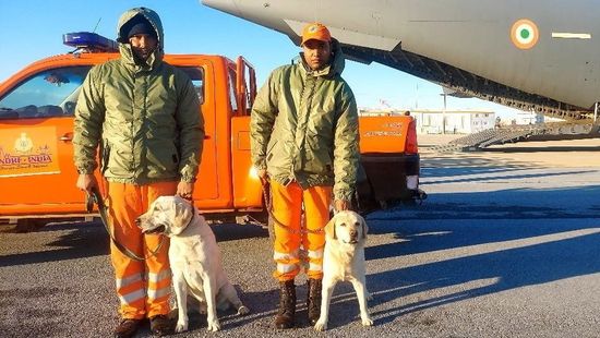 Az EU több mint ezer kutató-mentőt küld a törökországi földrengés helyszínére