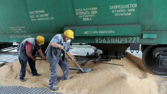 Szigorúan ellenőrzik az Ukrajnából érkező gabonát