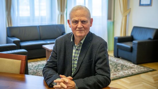 Tarlós István a budapesti szélsőbaloldali embervadászatról