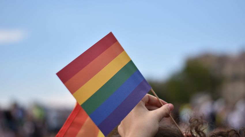 A Gyurcsány–Bajnai-kormányok idejére esett az LMBTQ-érzékenyítés fénykora