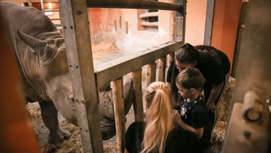 Hétvégi élményprogramokkal indul a szezon a fővárosi állatkertben