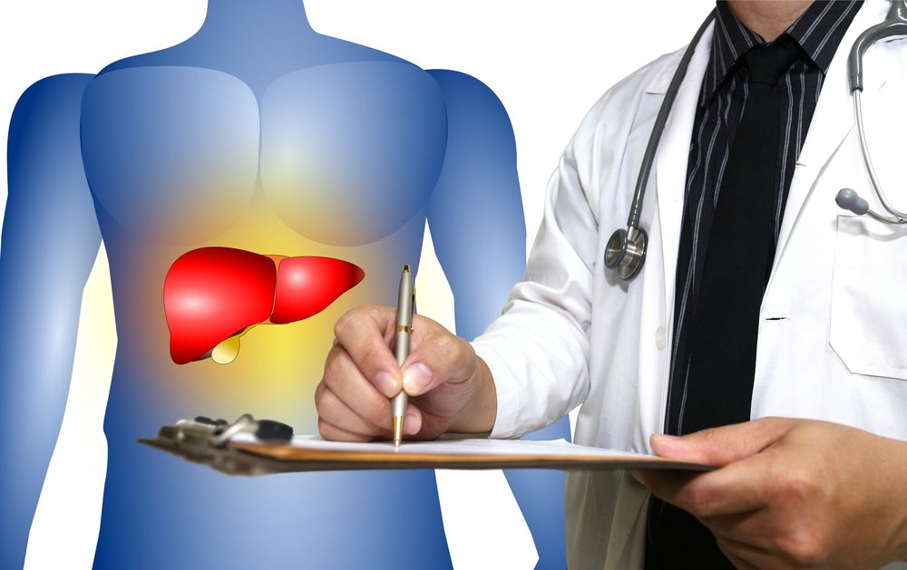 Doctor,Standing,With,Folder,liver,health,Concept