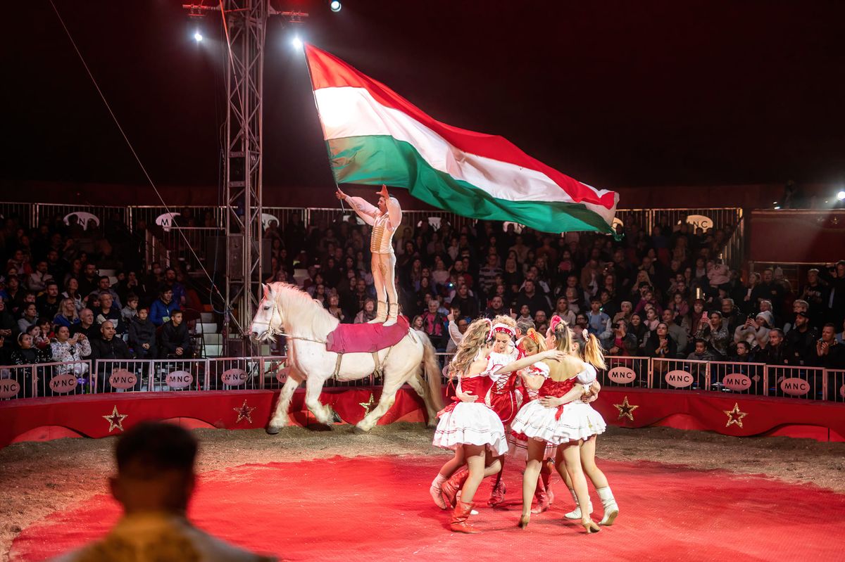 A Magyar Nemzeti Cirkusz lovas száma