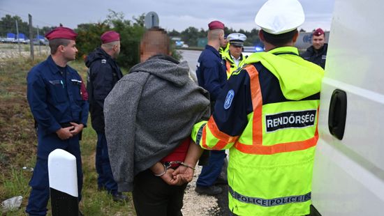 Illegális migránsokat bújtatott egy lengyel kamionos