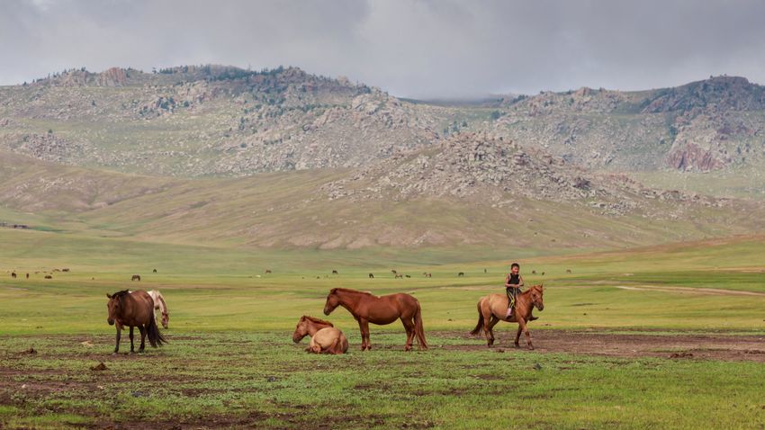 A mongol sztyeppe végtelen szabadsága
