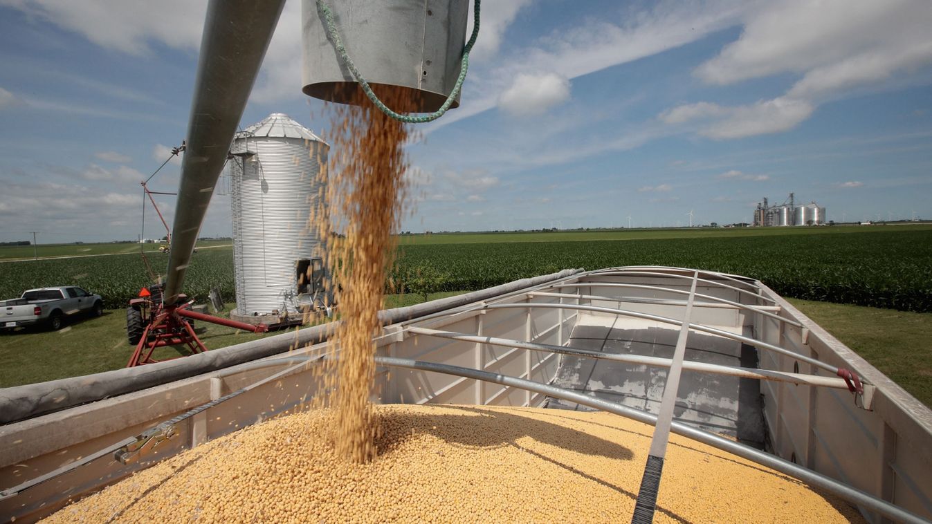 U.S. Soybean Futures Plunge Amid Renewed Fears Of Trade War With China