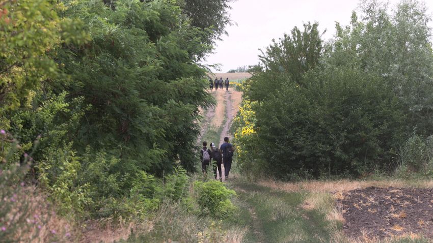 A legtöbb migránst a magyar határon fogják el a románok