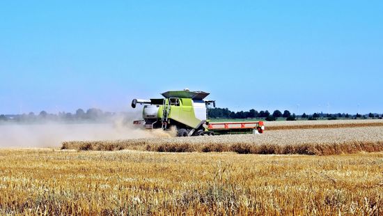 Kiállnak a gazdaszervezetek az ukrán gabona behozatali stopja mellett