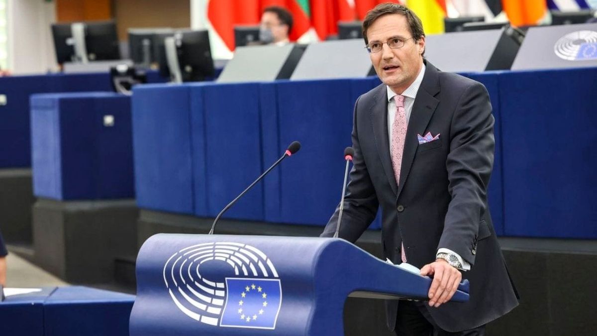 Gyöngyösi Márton felszólal az EP-ben