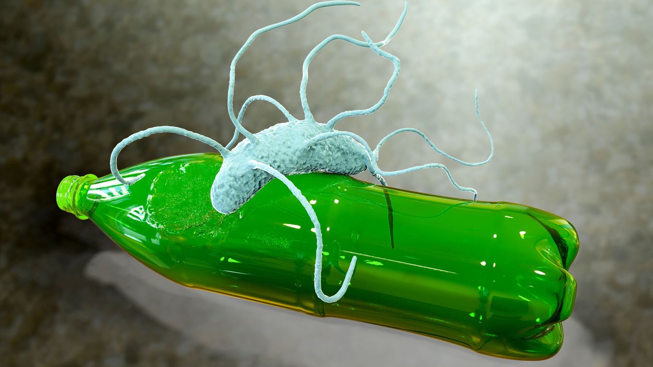 Plastic-degrading,Bacteria,Ideonella,Sakaiensis,,3d,Illustration.,Recently,Discovered,Bacteria,That