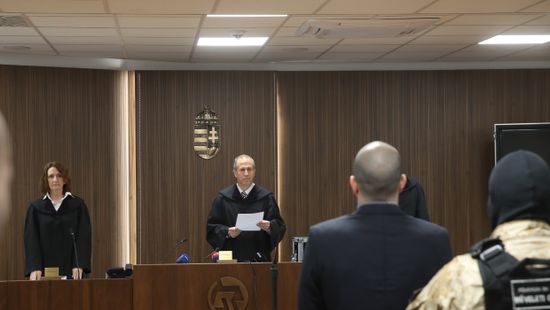 VV Fanni meggyilkolásáért húsz évet kapott Brodmann László