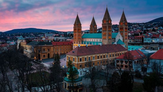 Két karakán nő állította le a késes kiskorú bűnözőket Pécsen