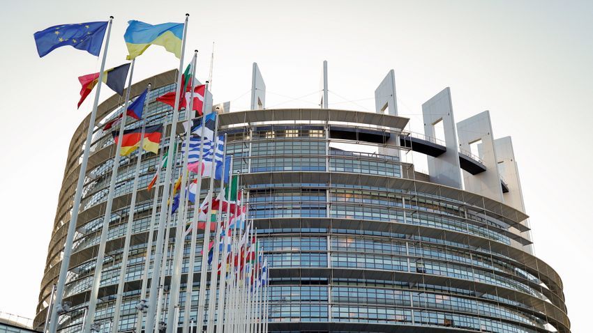The date for the 2024 European Parliament elections has been confirmed