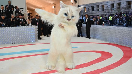 Met-gála: Macska a forró plüss-szőnyegen